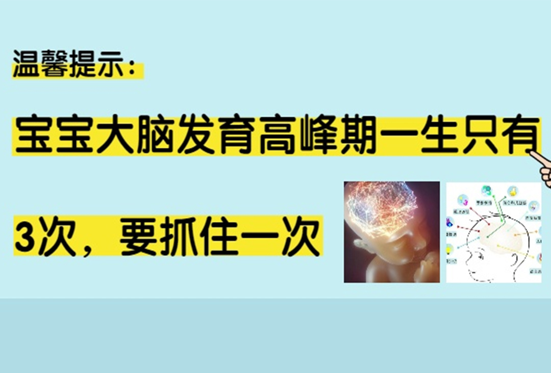 哈佛大学研究发现：宝宝大脑发育高峰期一生只有3次，要抓住一次